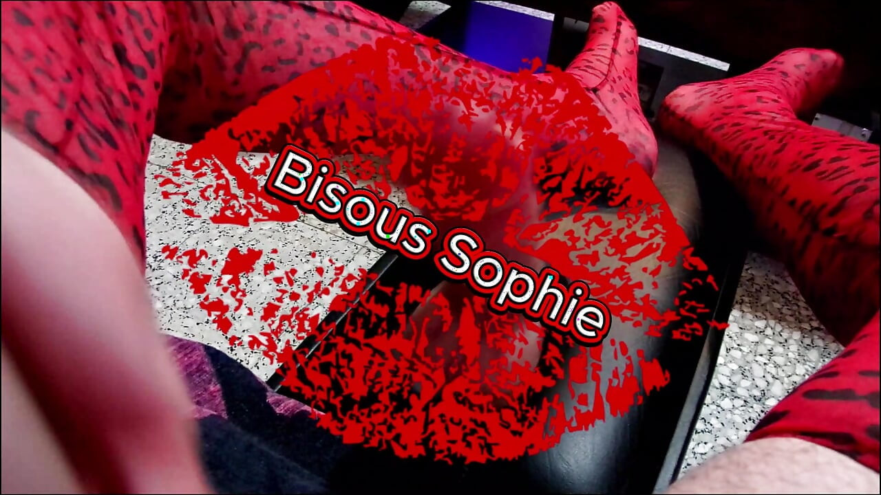 Sophie the French