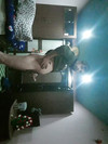 Pregled videozapisa