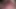 Cum closeup while cumming