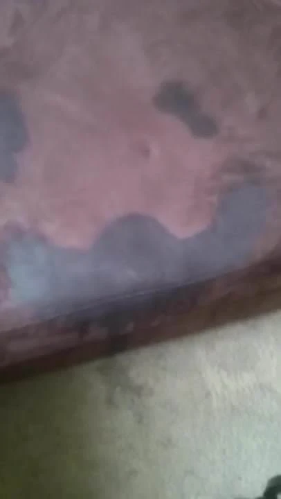 Show'em where you squirt