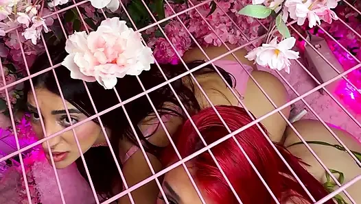 Pink room ep.33: geile latina-schlampen zoey und jessica lieben schwanz