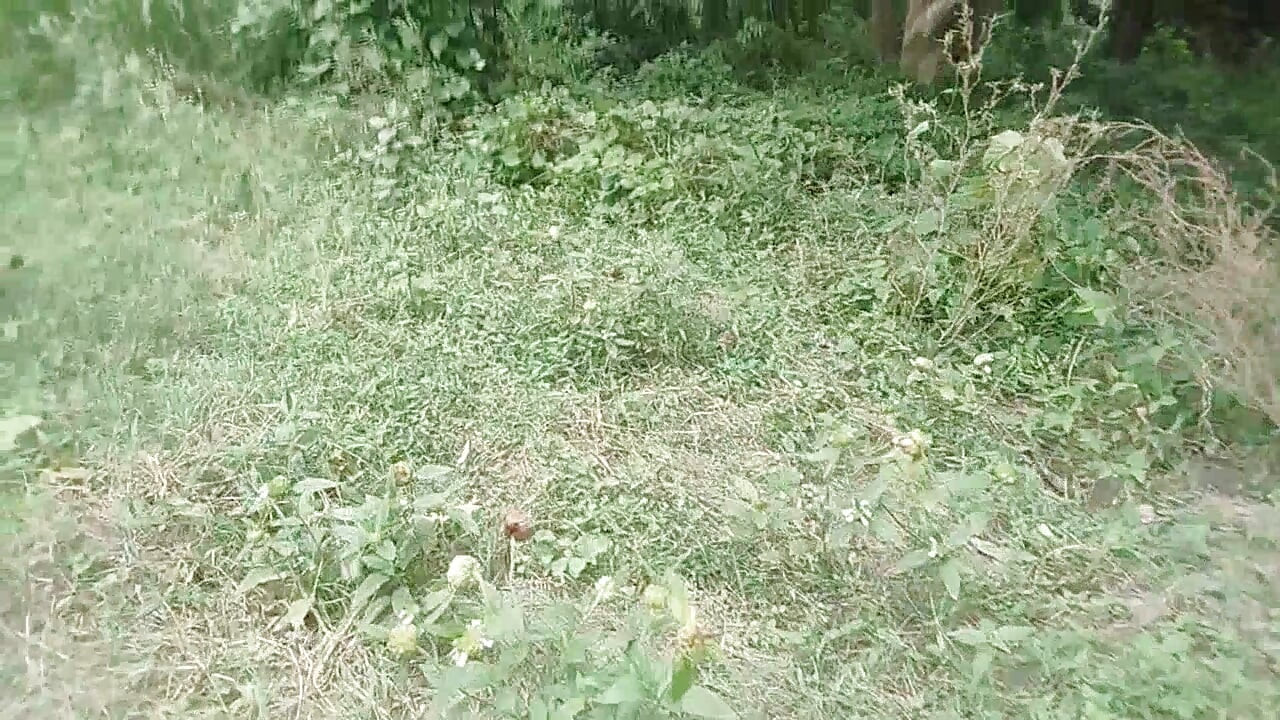 Forest outdoor fuking yang boy big cock