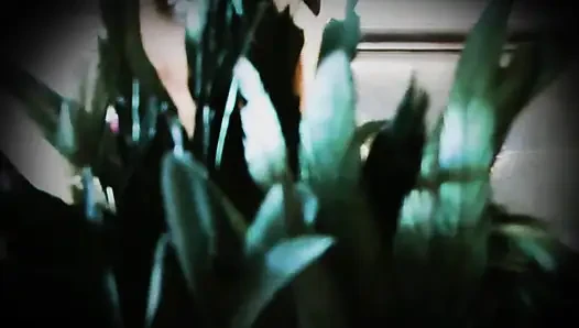 Otak dicuci di bawah efekku