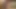The Definitive Futanari cumshot compilation