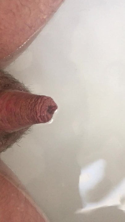 Microdick
