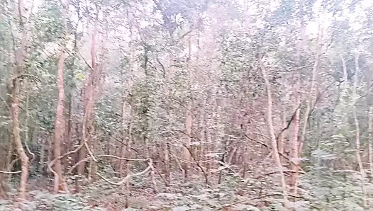 Desi Outdoor Jungle Sex