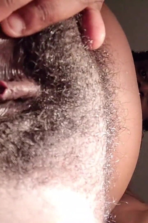 Lašina raširena pička