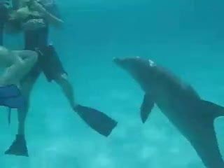 Сквирм-шлюшка с резвым дельфином
