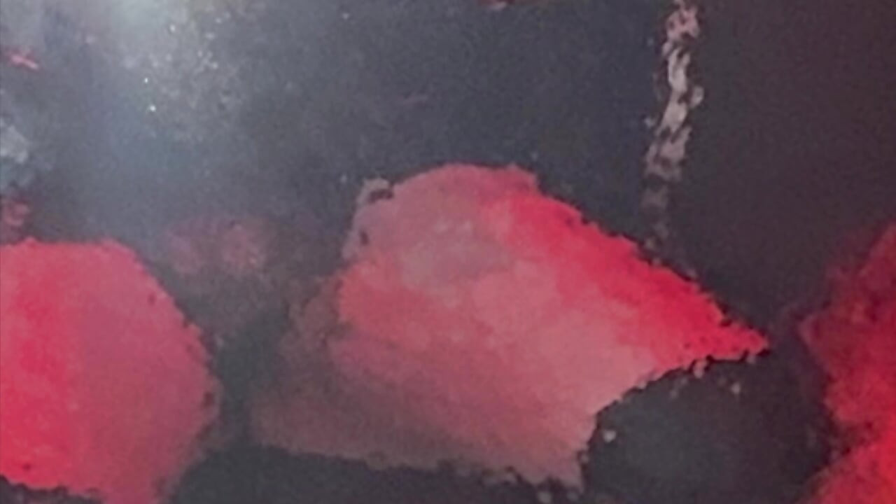 भाग 1:- Marie को अपने मालिकों को खुश करने के लिए पिशाच कक्ष में ले जाया जाता है!