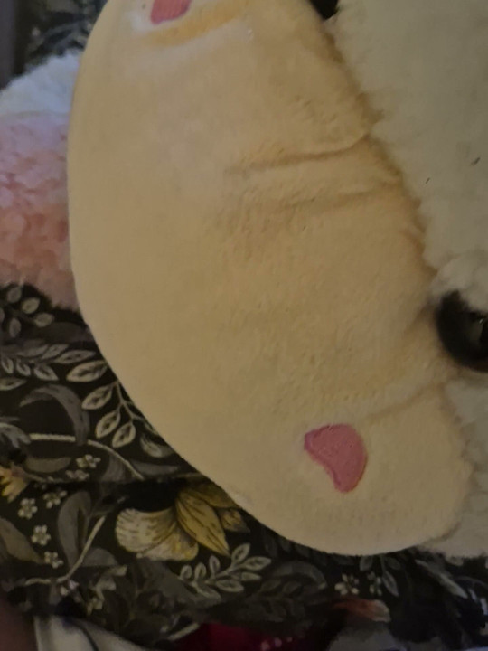 Cum on plush cow