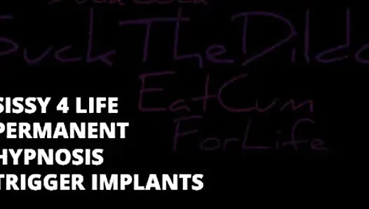 Pemicu permanen nyawa banci 1