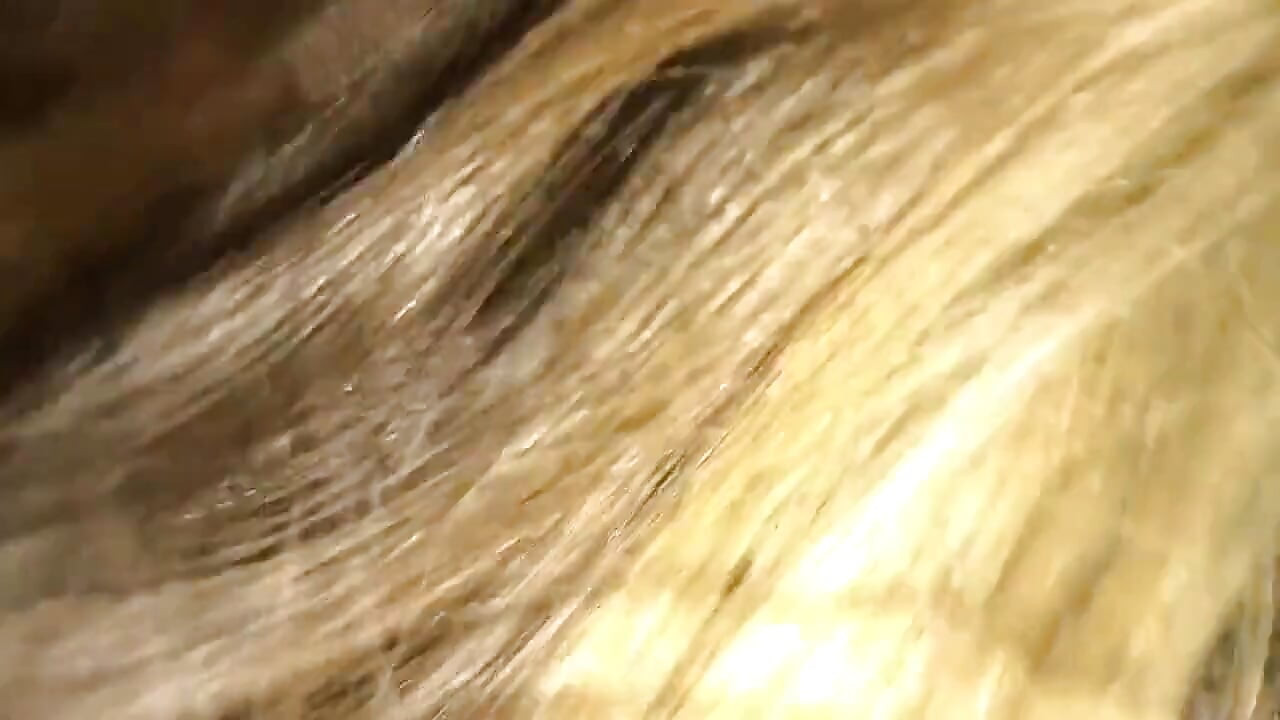 Risky Sloppy Car Horny Blowjob