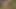 かわいい隣人の娘がセックスした視点