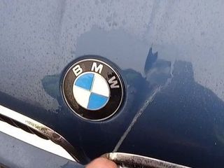 Piss on the BMW
