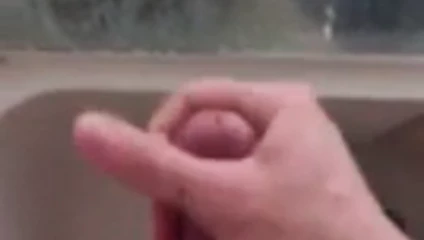 yeni zelanda'da kriko yapmak