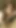 Exposed Coming Back Soon