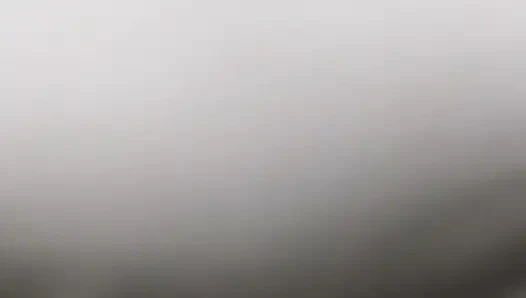 Du liebst meine möpse