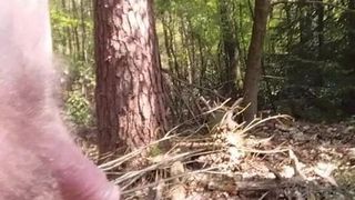 Walking in the wood
