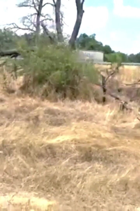 ทาสสาว Tich โดนลงโทษด้วยถังบนหีและนมของเธอ