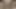 Hintli evli kadın önce mesaj attı sonra içine yarak aldı