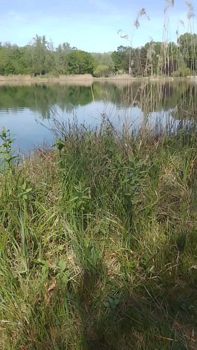 Liten håndjobb ved naturistgrusgraven