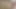 Student fickt berühmten Dichter in der Öffentlichkeit - harte campus-sex-begegnung - ASMR Audio porno - erotische audio-geschichte