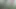 Old man cumpilation of his cumshots