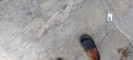 Pratinjau video