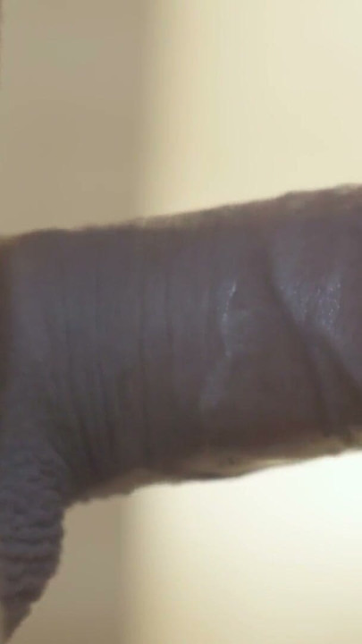 MASSIVE CUMSHOTS COMPILATION | Clip 3