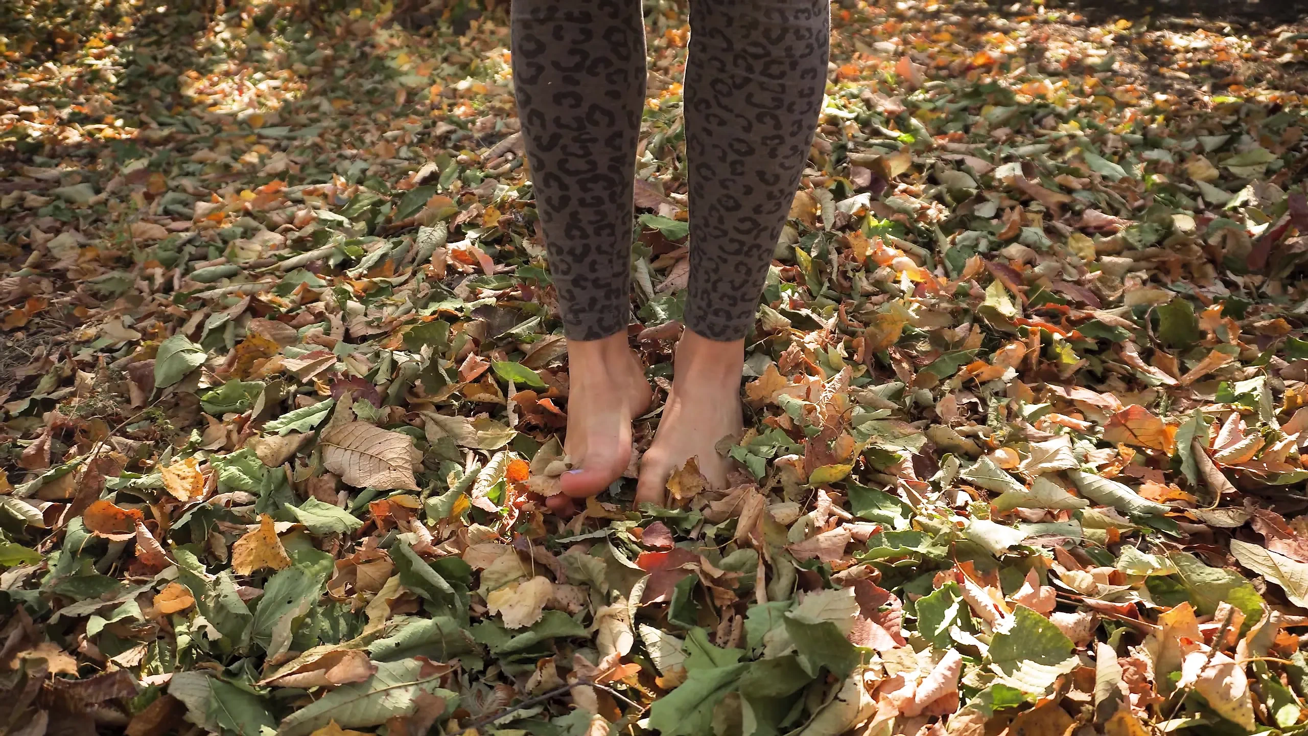 Leaves Crunching Underfoot ASMR