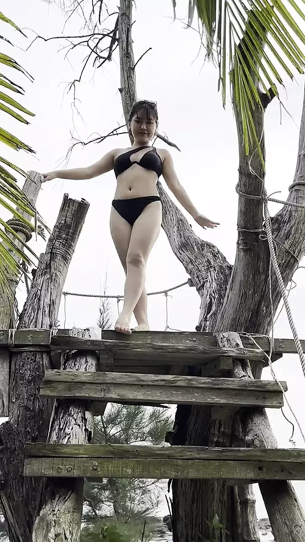 lotus video