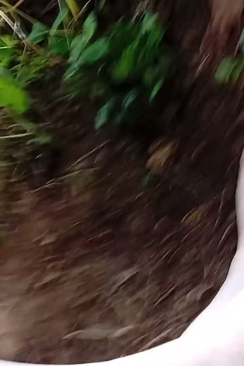 Dirty Feet Outside