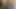 自分で遊びながらチンポをしゃぶる