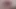 Quick Cumshot After Waking up