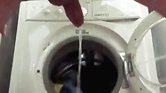 Pipì in lavanderia