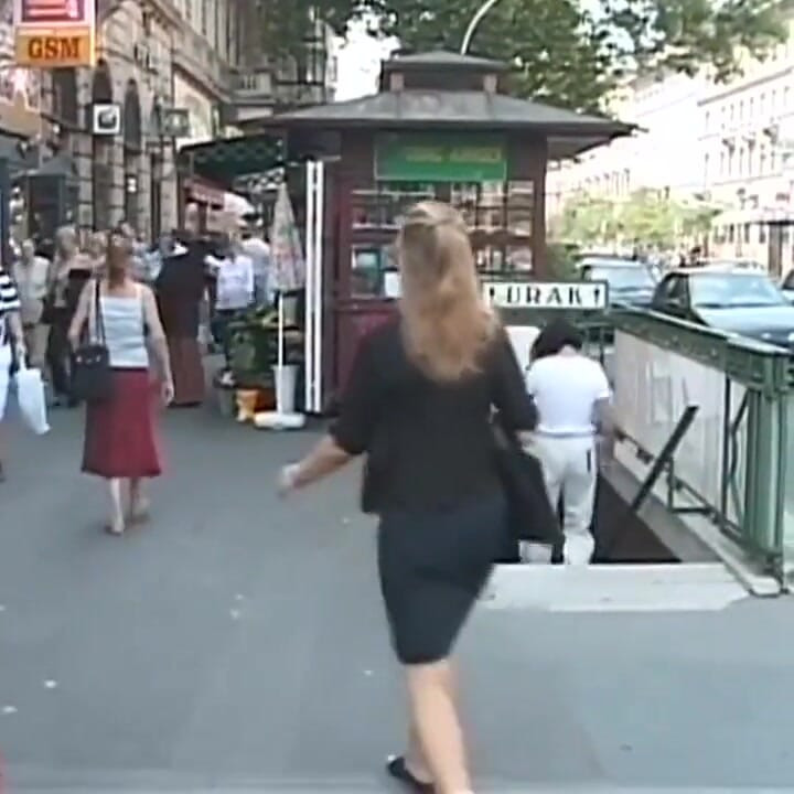 Black and white threesome milf fucking in the toilet