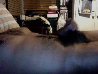 Big Hairy Dick