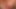 Gofuckagirl - vica cum ile dolu onu genç kedi alır
