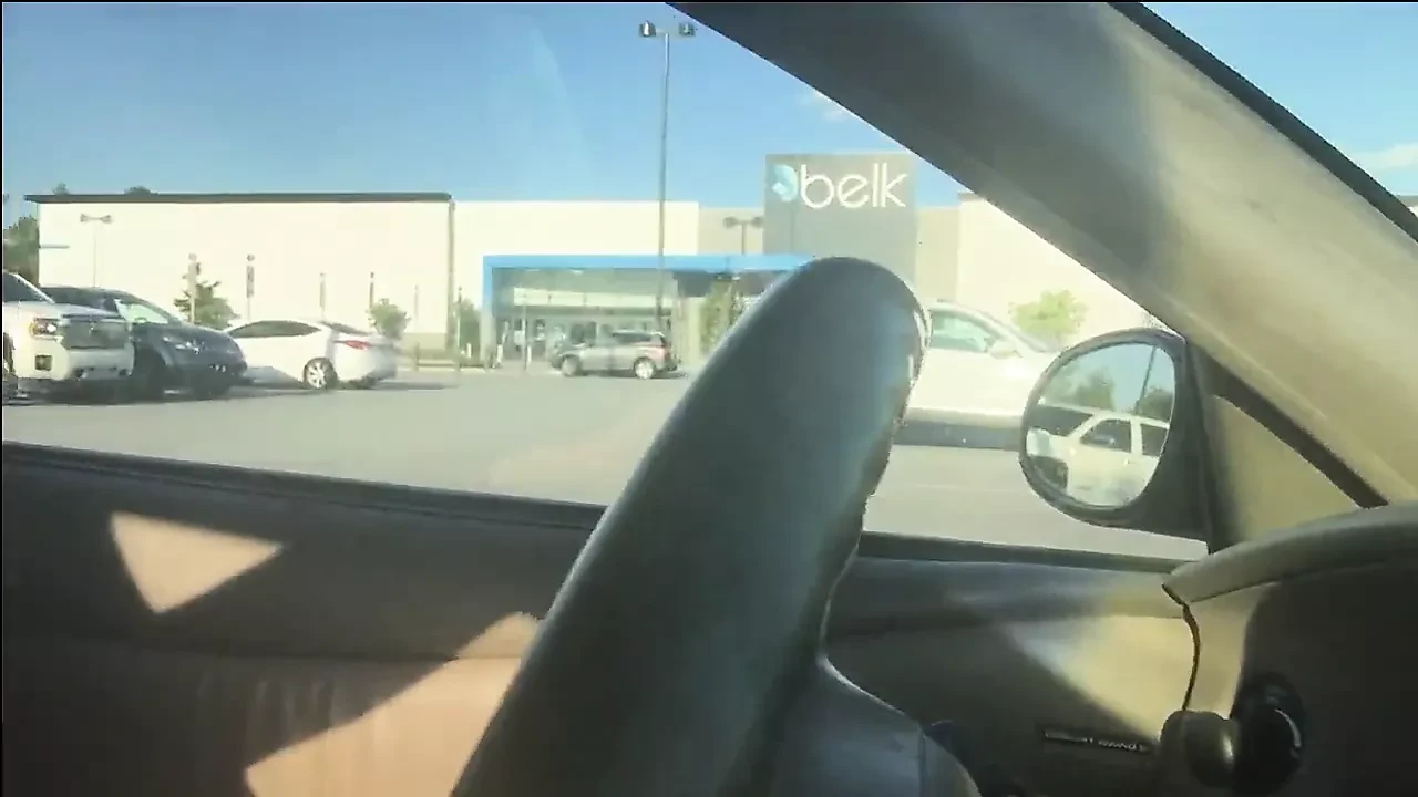 Furry kitty plays and squirts in car in parking lot