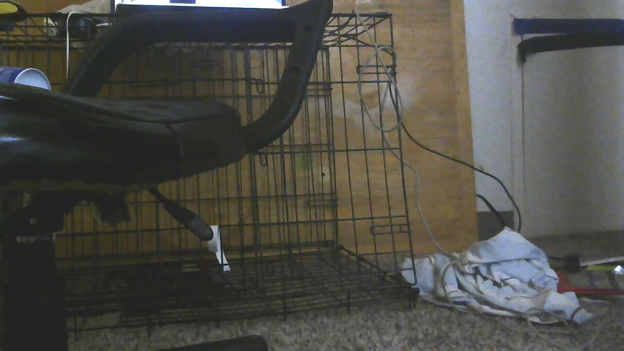 เย็ดตูดนี้!