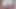 SoP-furry album