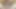 おっぱいと猫にクリーム