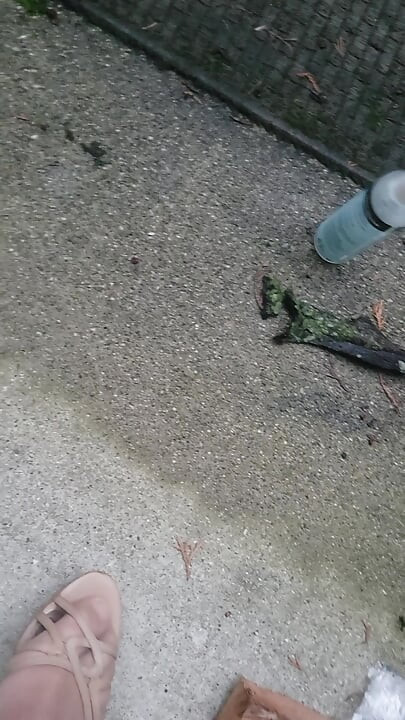 Cumming on Feet Outside