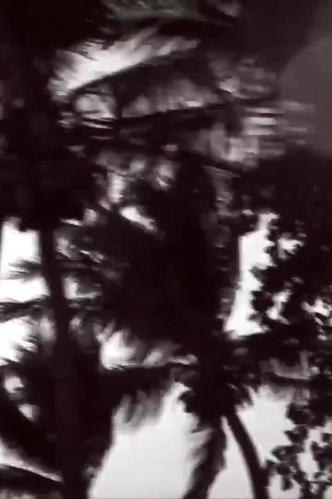 Asiansexdiary Lucky Foreigner Seals the Deal with Skinny Petite Asian Teen