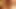 LopnLous