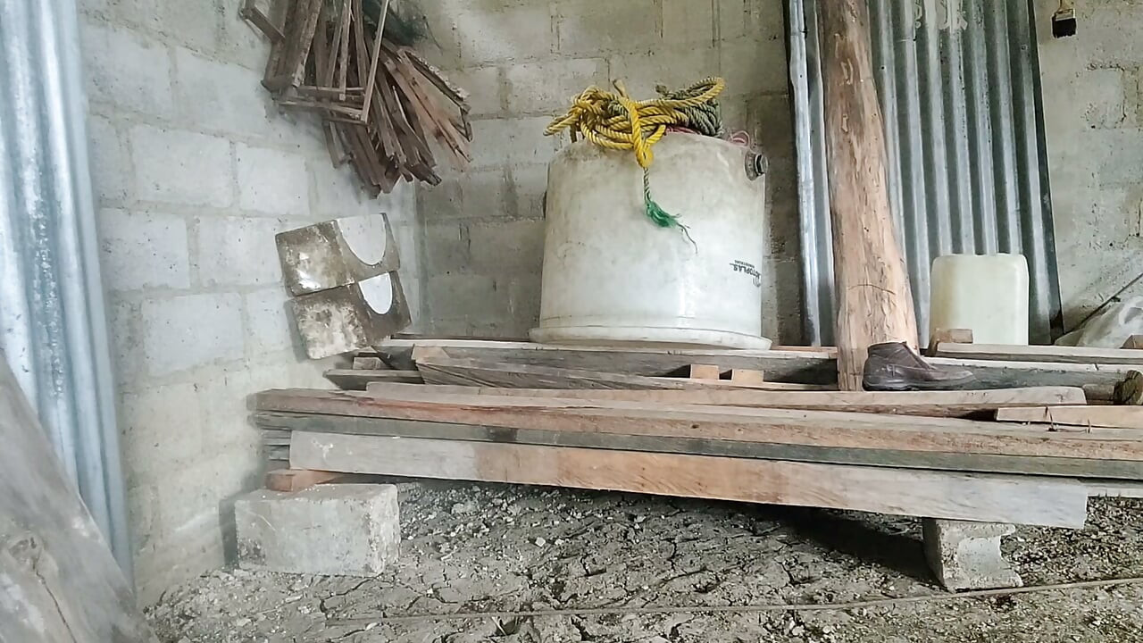 Masturbace