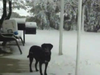 Overnight snow