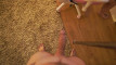 Pregled videozapisa