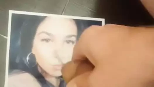 yeni haraç 33