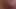 Cum shot